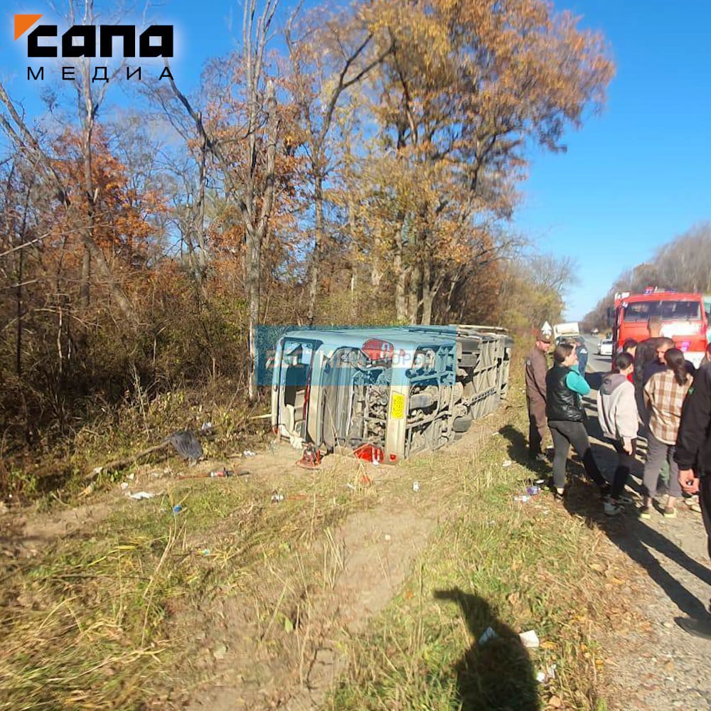 Два человека погибли в результате ДТП с туристическим автобусом в Приморье  | Сапа