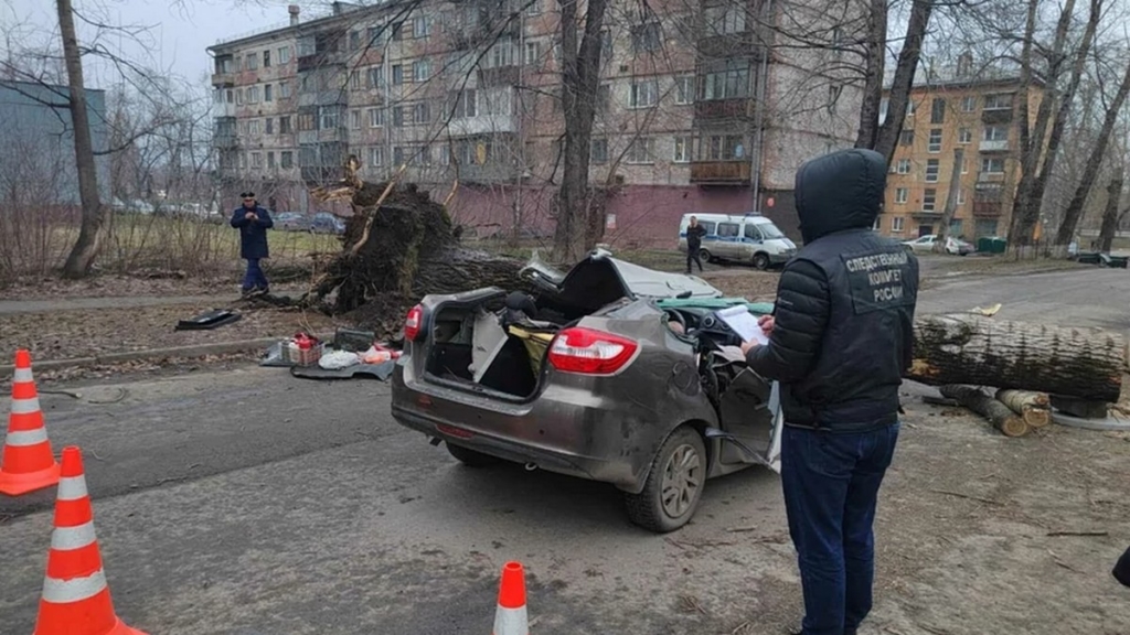 В Новокузнецке из-за падения дерева на автомобиль погибли два человека