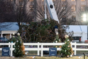 В Вашингтоне от ветра рухнула рождественская ель
