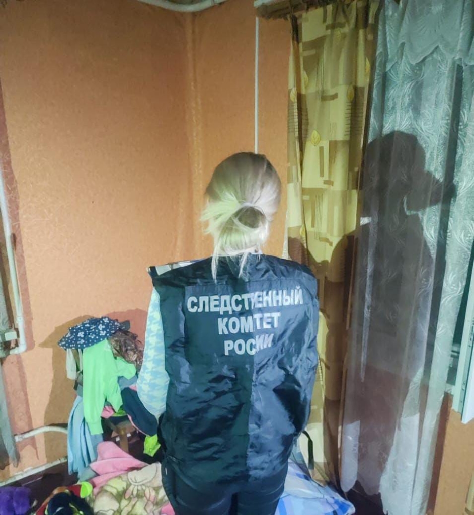 В Псковской области женщина задержана по подозрению в убийстве своих детей 