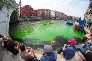 Климатические активисты выкрасили воды Большого канала Венеции в зеленый цвет