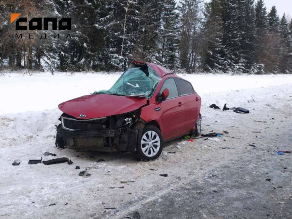 В Пермском крае женщина и двое детей погибли в ДТП с грузовиком