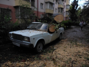 В Сочи ураган повалил десятки деревьев и оставил без света 11 тыс. человек