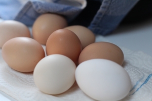 Яйца в России подешевели впервые с июня