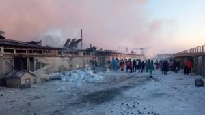 На Сахалине из приюта при пожаре эвакуировали 500 животных