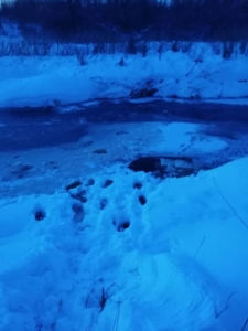 Двое детей провалились под лед в Тверской области