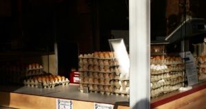 Импортные куриные яйца начали поступать в российские магазины