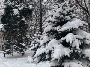 Из-за циклона «Ольга» на Москву обрушится рекордный снегопад