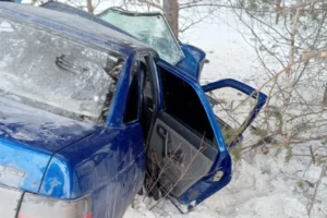 В Челябинской области арестовали совершившего смертельное ДТП водителя