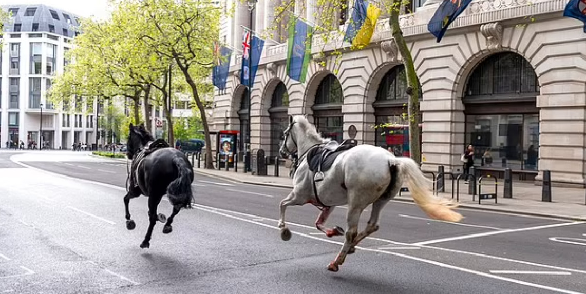 В Лондоне лошади кавалерии Карла III сбросили всадников и понеслись по улицам