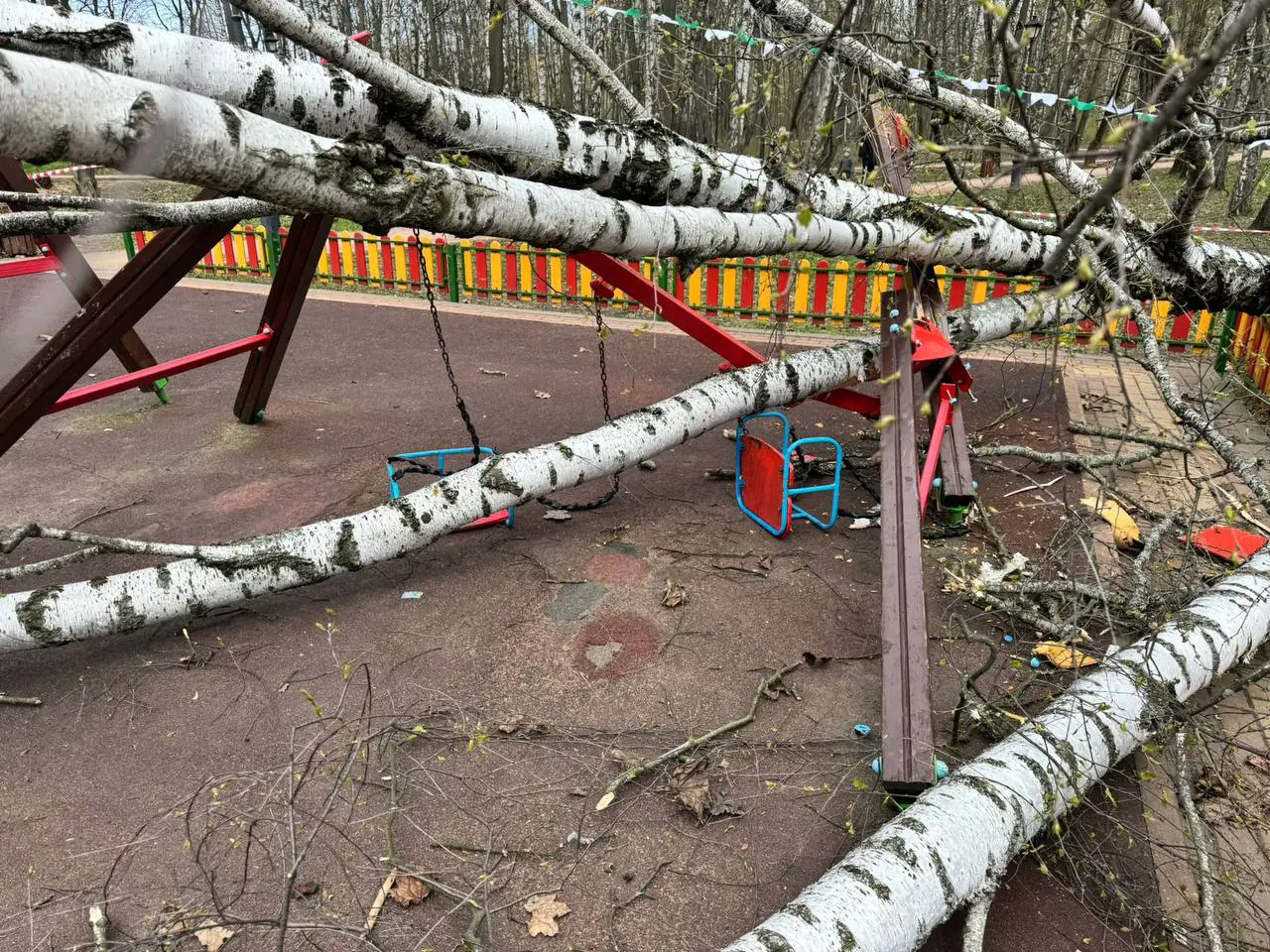 В Красногорске на двухлетнюю девочку упала береза | Сапа