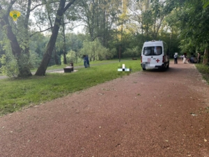 Подозреваемый в убийстве мужчины в парке Москвы пришел в полицию с повинной