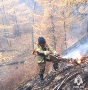 В Туве ввели режим ЧС из-за лесных пожаров